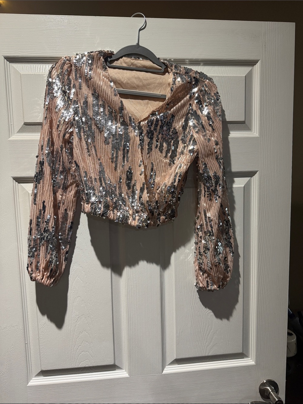 Blush Sequin V-Neck Long-Sleeve Crop Top